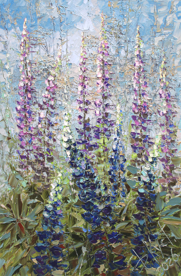 Gallery Lupins